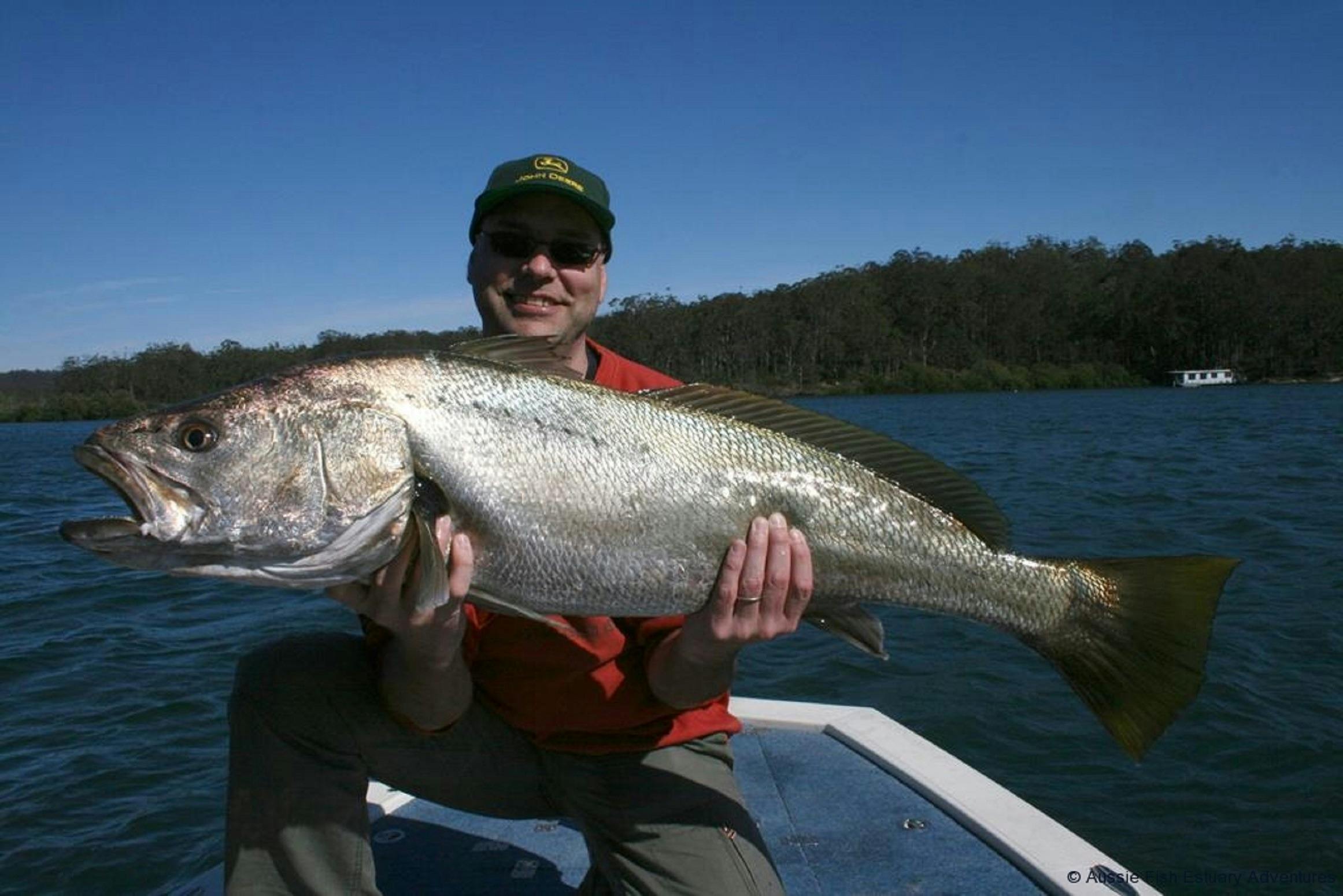 Aussie Fish Estuary Adventures - Guided Fishing Charters