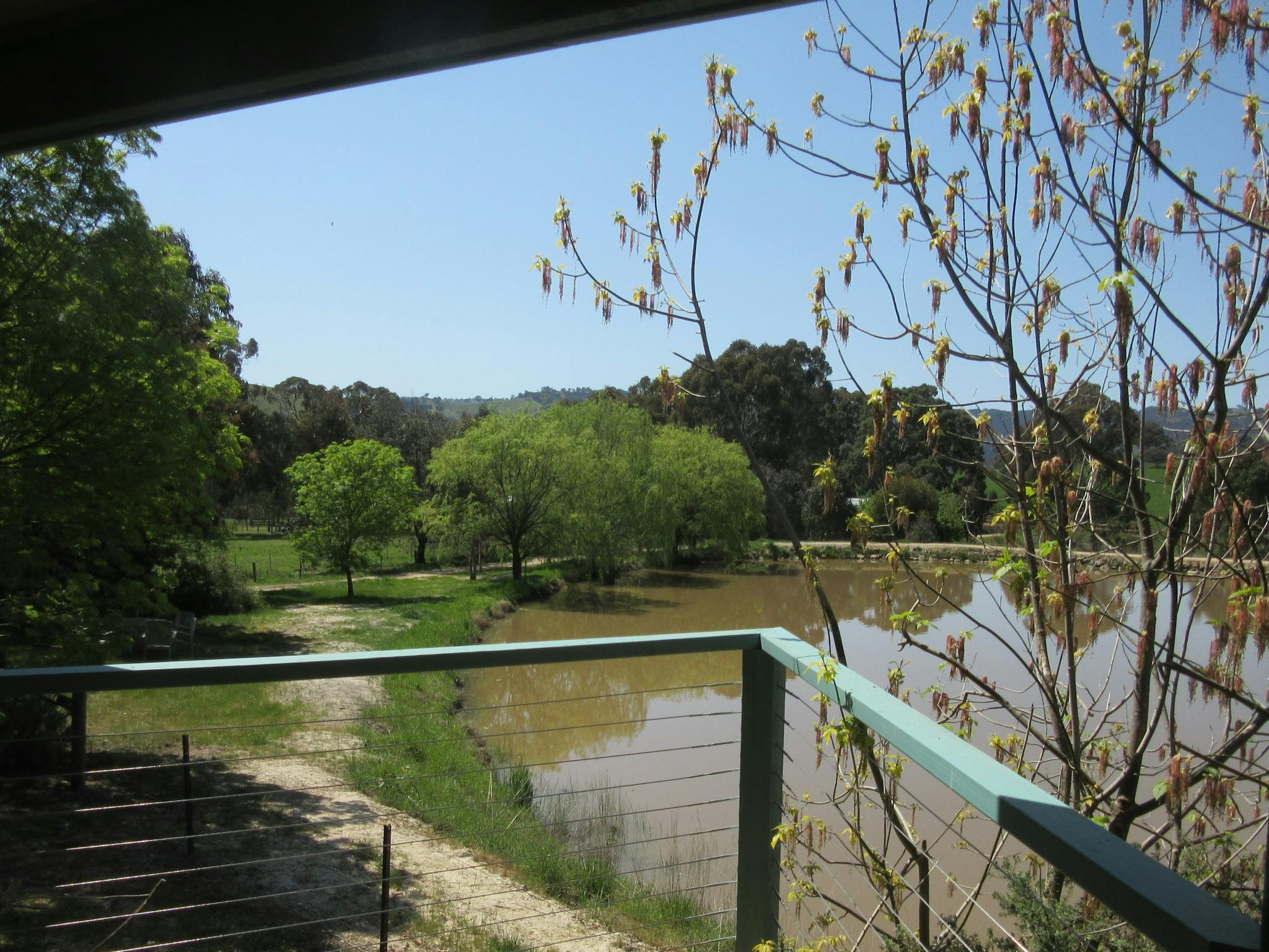 View out over the lake