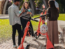 Group of people standing next to scooters on their phone