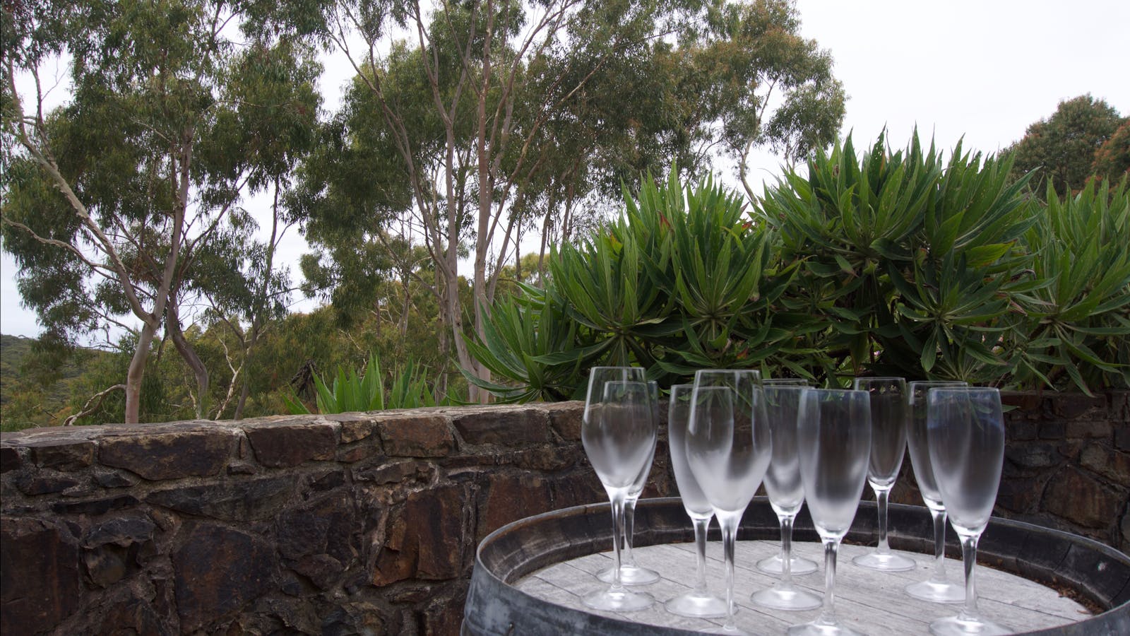 Wine Compass - Mornington Peninsula