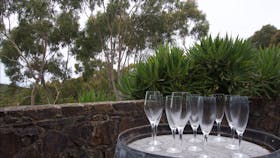 Flutes for tasting at Ocean Eight