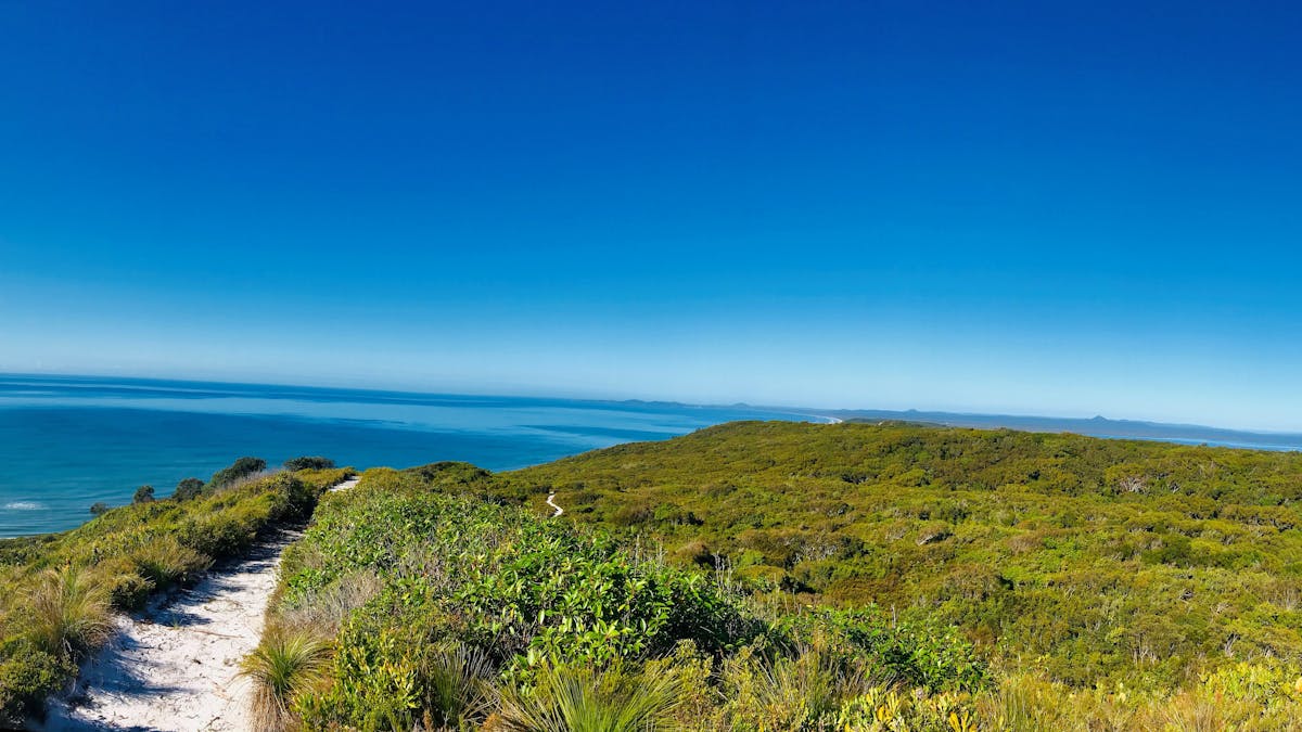 Hike Noosa