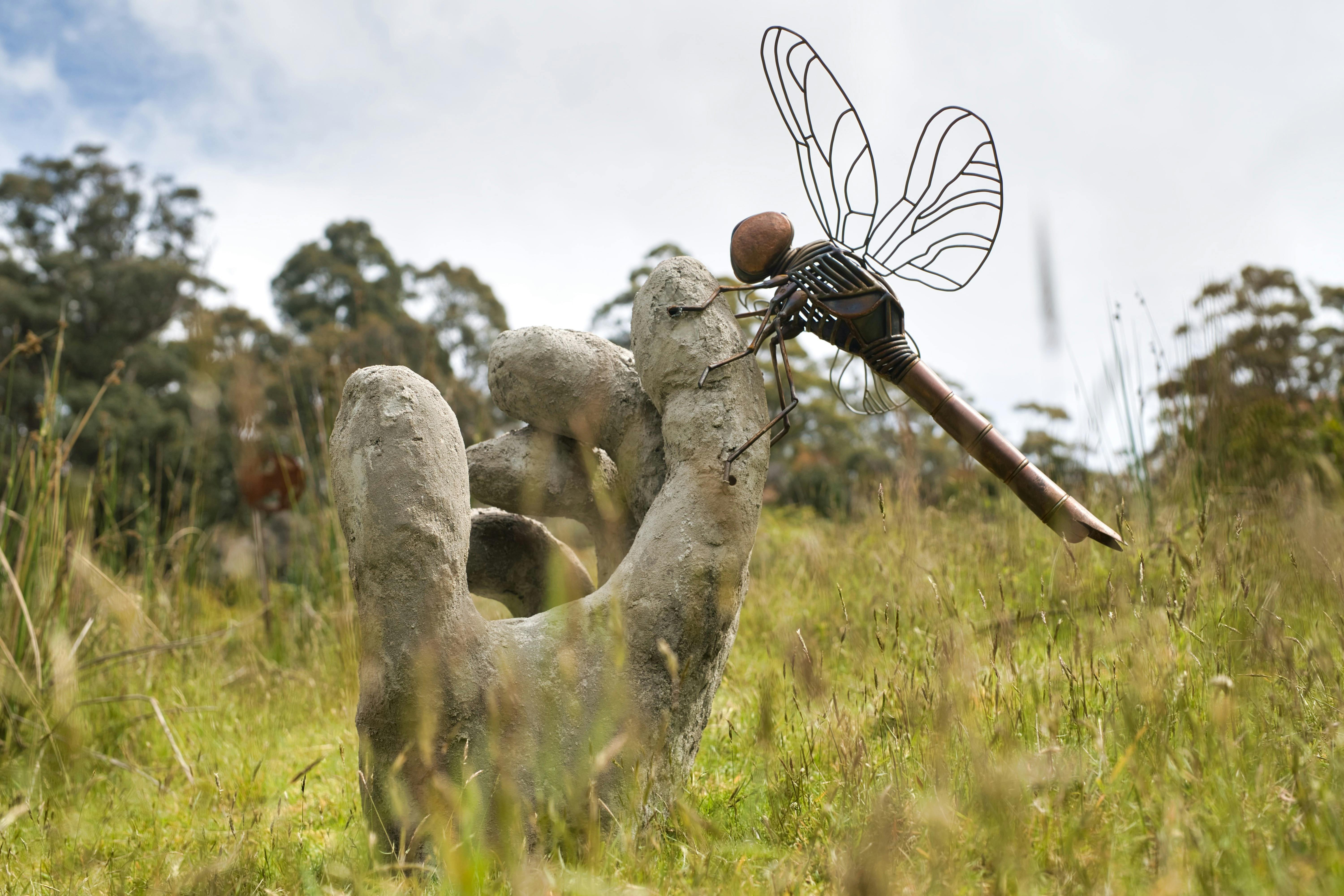 Art Farm Sculpture on the trail