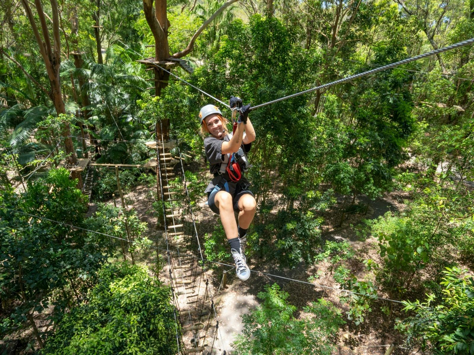 Treetop Challenge Currumbin Wildlife Sanctuary Attractions Queensland