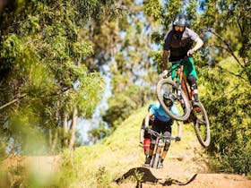 Locals Only Trail at Greenvalleys Mountain Bike Park