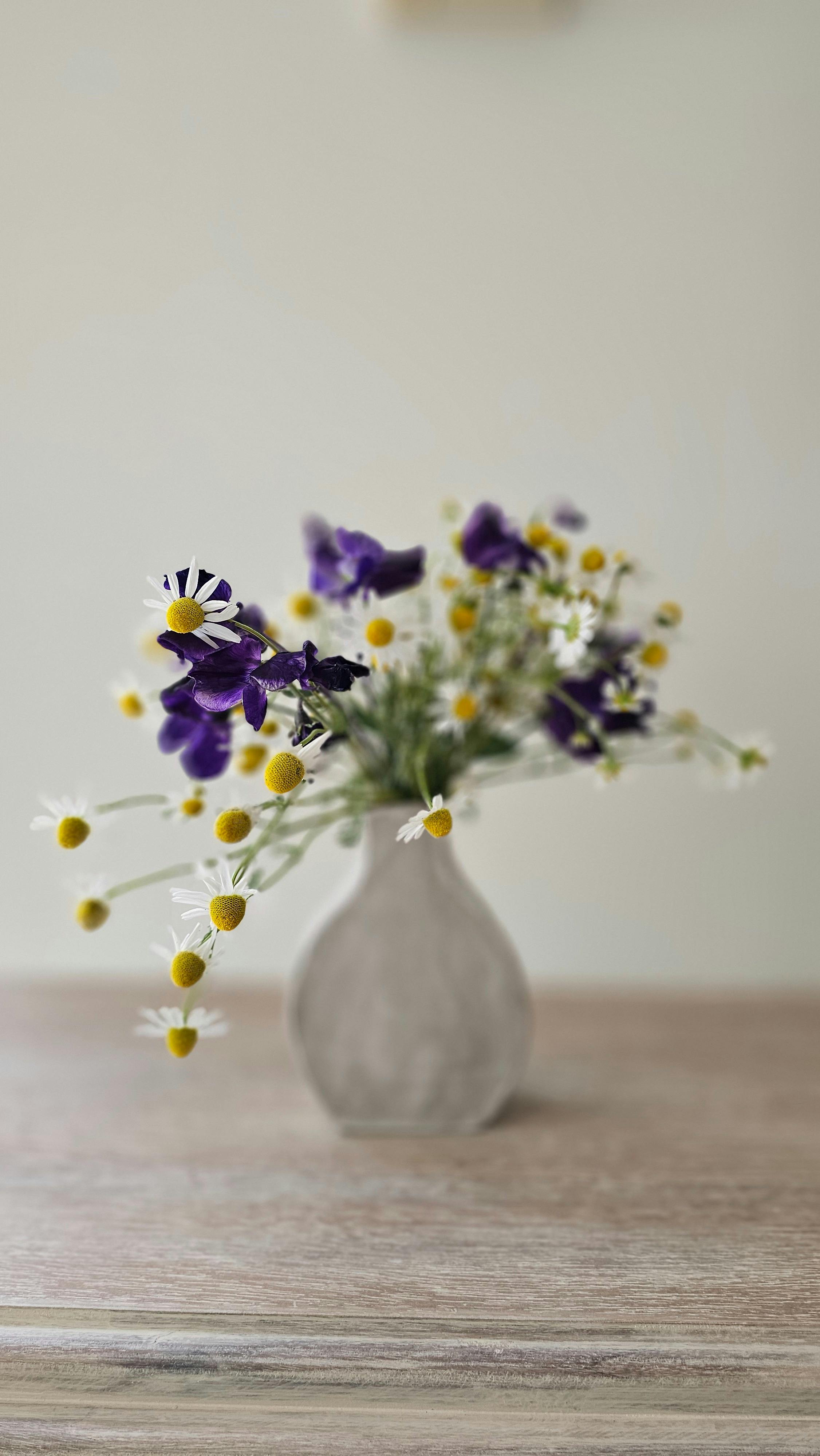 Matte white glaze bud vase with purple sweetpeas and white and yellow chamomiles