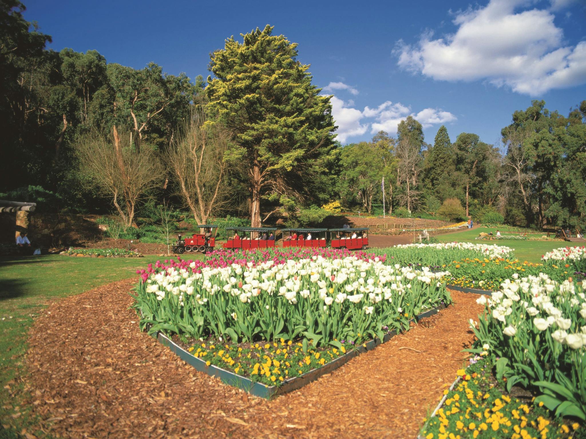 Araluen Botanic Park - Discovery Parks BIG4 - Perth Airport