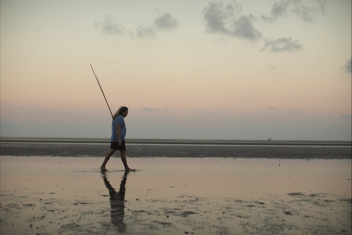 Kuku Yalanji Cultural Habitat Tours