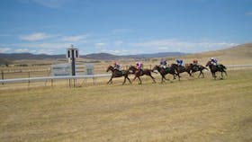 Adaminaby Races