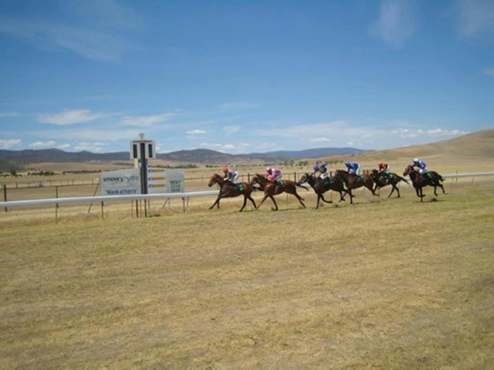 Image for Adaminaby Cup Race Day
