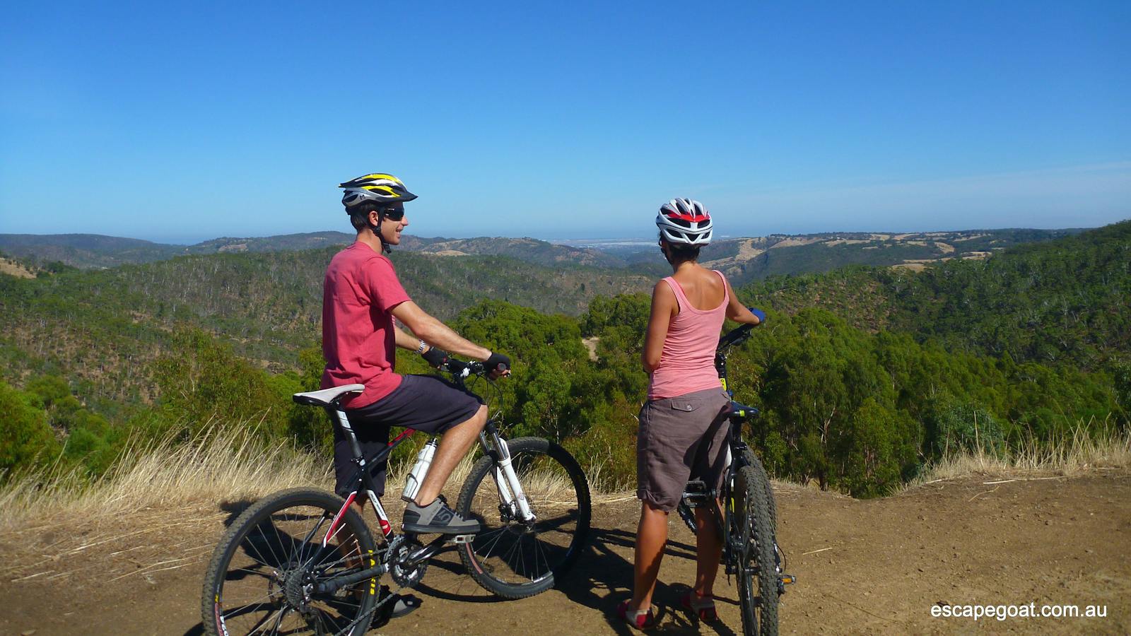 mountain biking fox creek