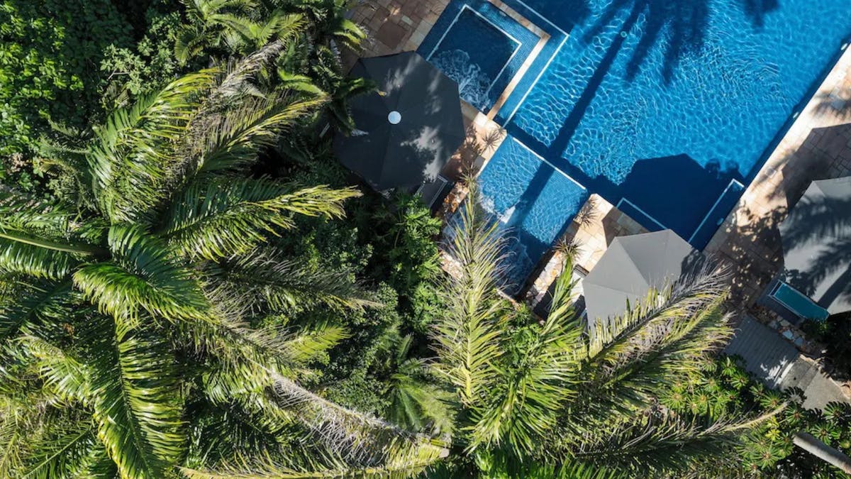 Blue pool set amongst palm trees