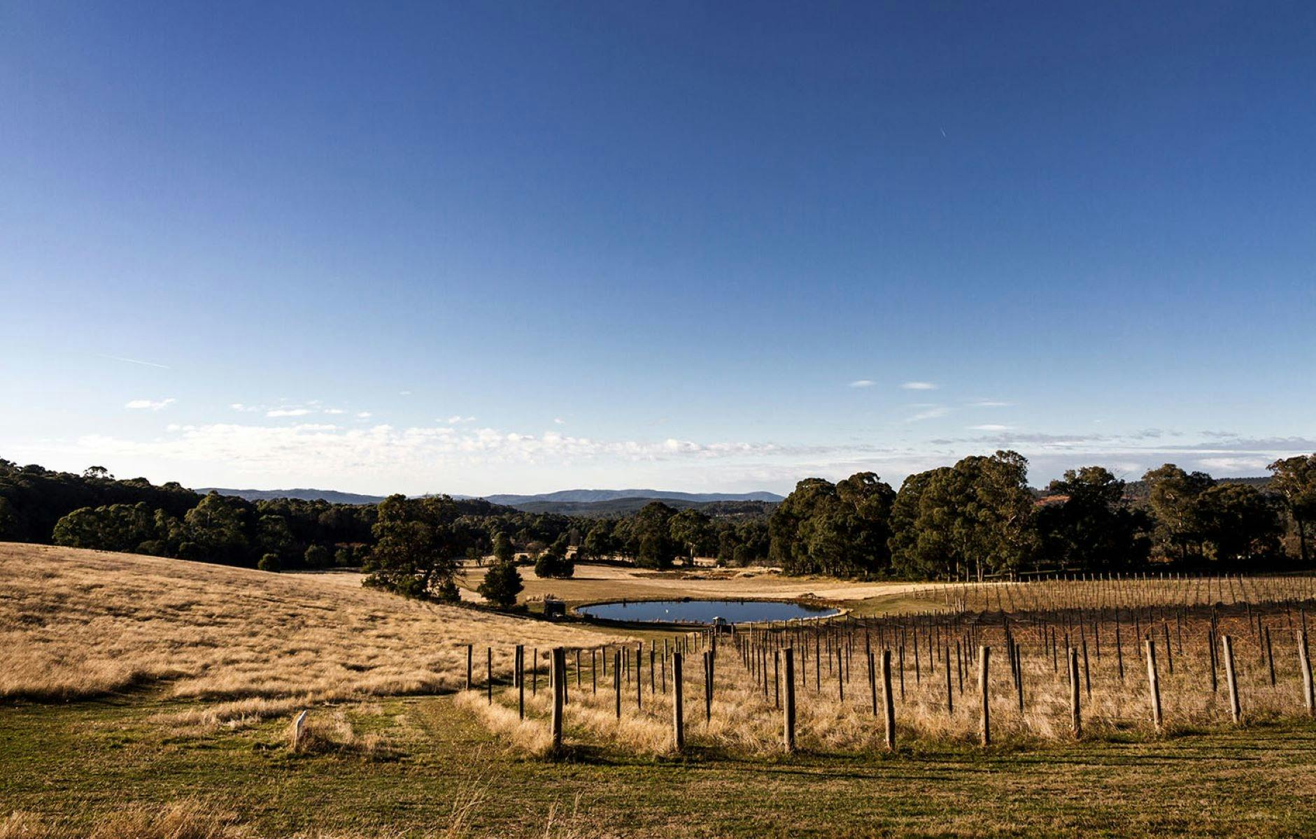 VS & B Wines Beechworth Vignerons