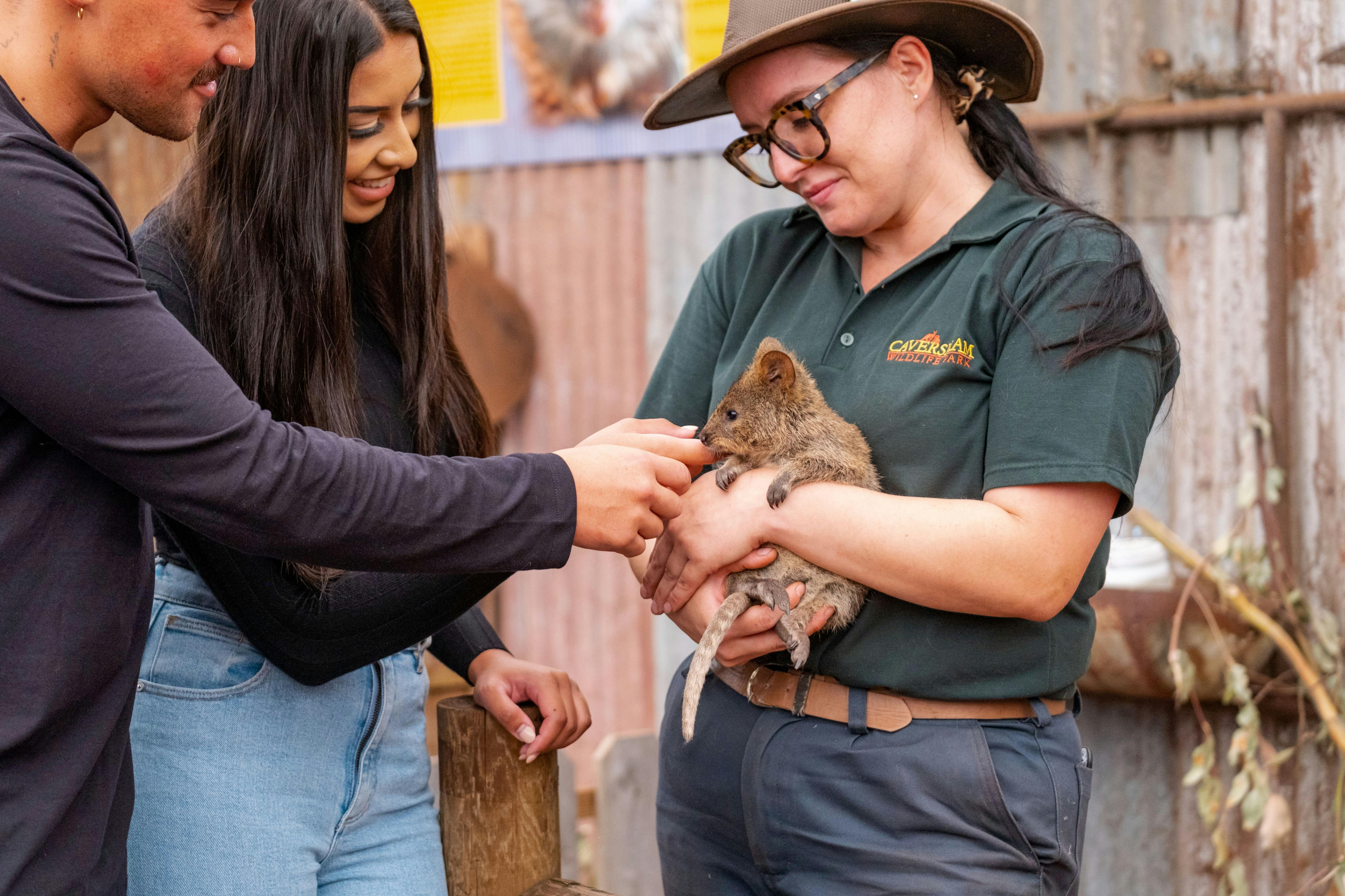Animal Presentations