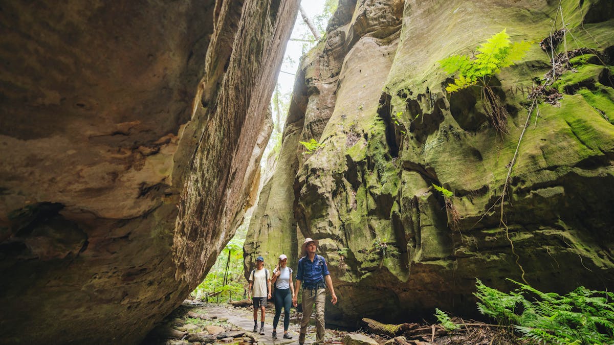 Carnarvon National Park
