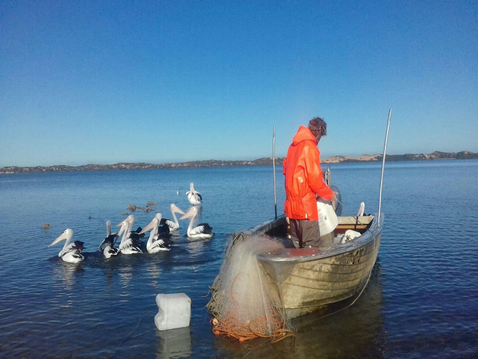 Skipper of Coorong Wildside Tours doing his other job of Coorong Fisherman