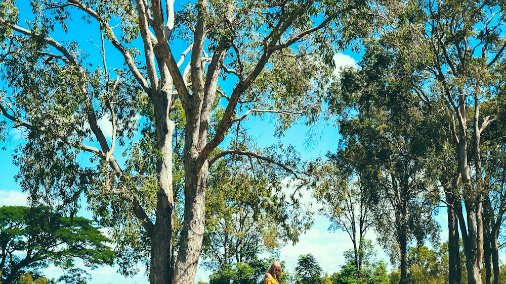 TYTO Wetlands