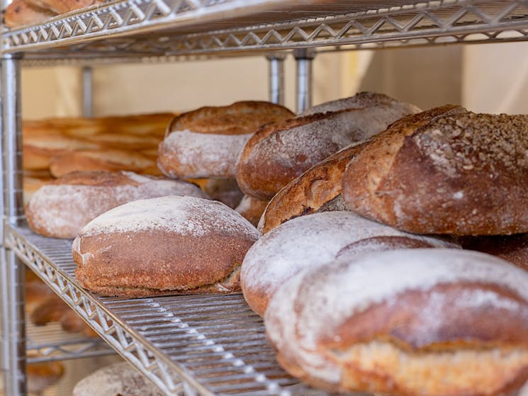 Artisan Baker Bread