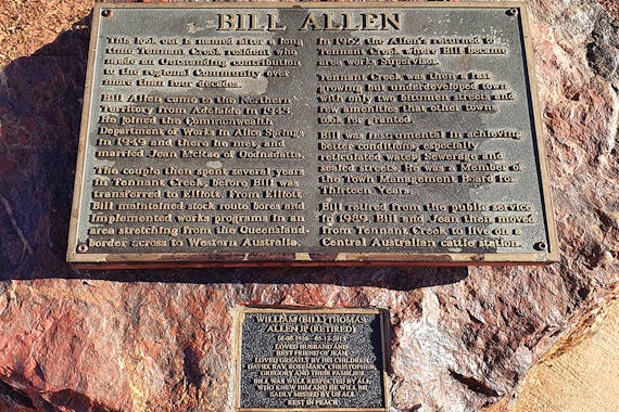 Bill Allen Lookout