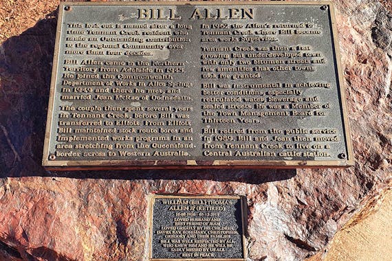 Bill Allen Lookout