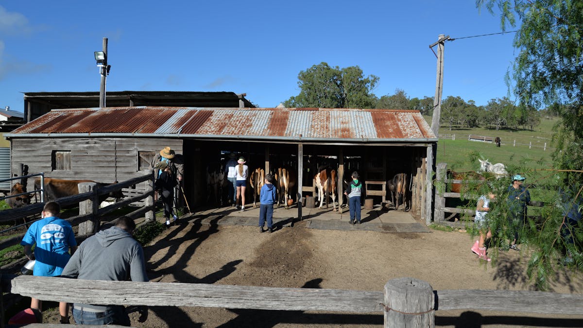 Cowyard
