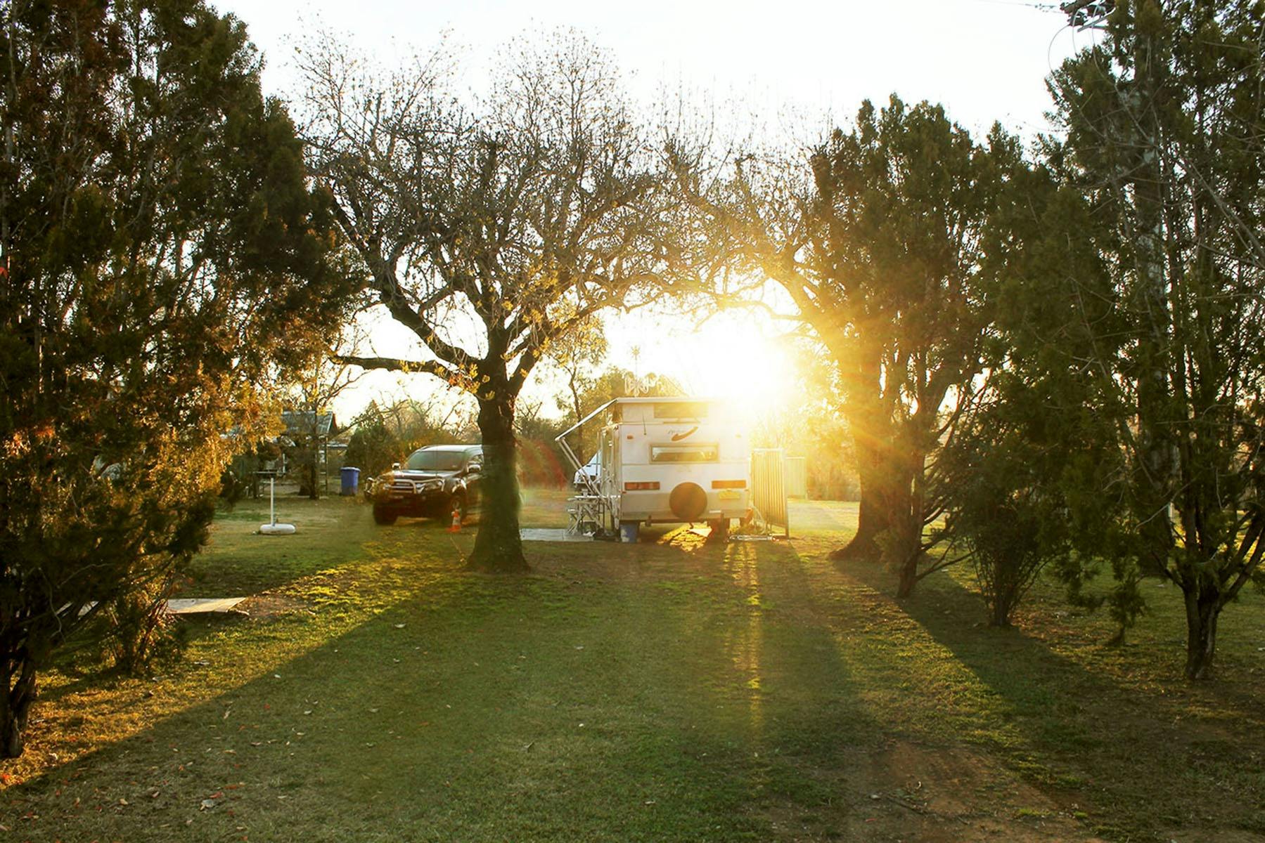 Barraba Caravan Park NSW Holidays & Things to Do