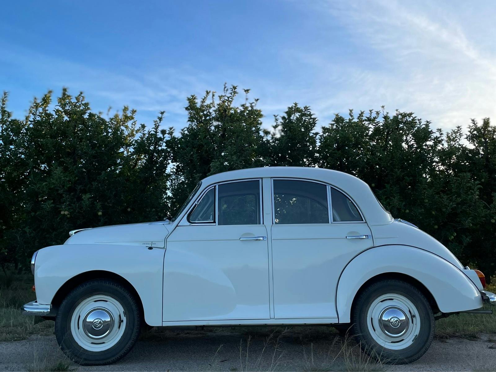 Vintage car parked in apple orchard at sunset Vintage car parked in apple orchard at sunset