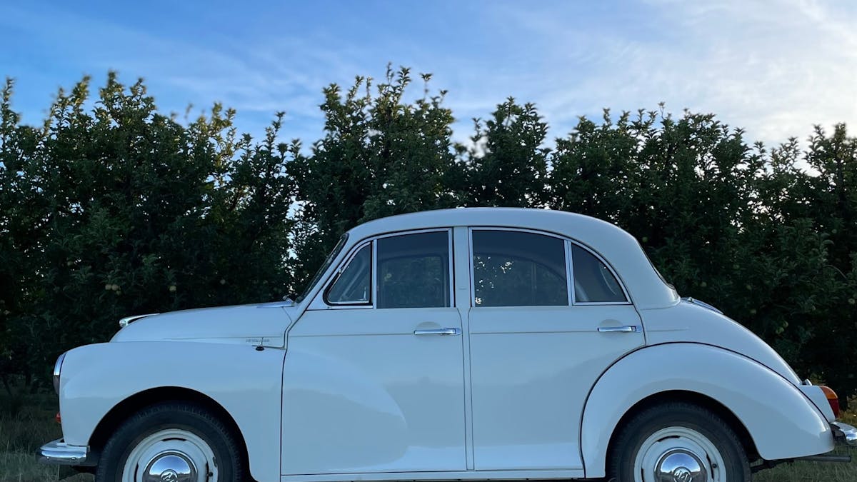 Vintage car parked in apple orchard at sunset