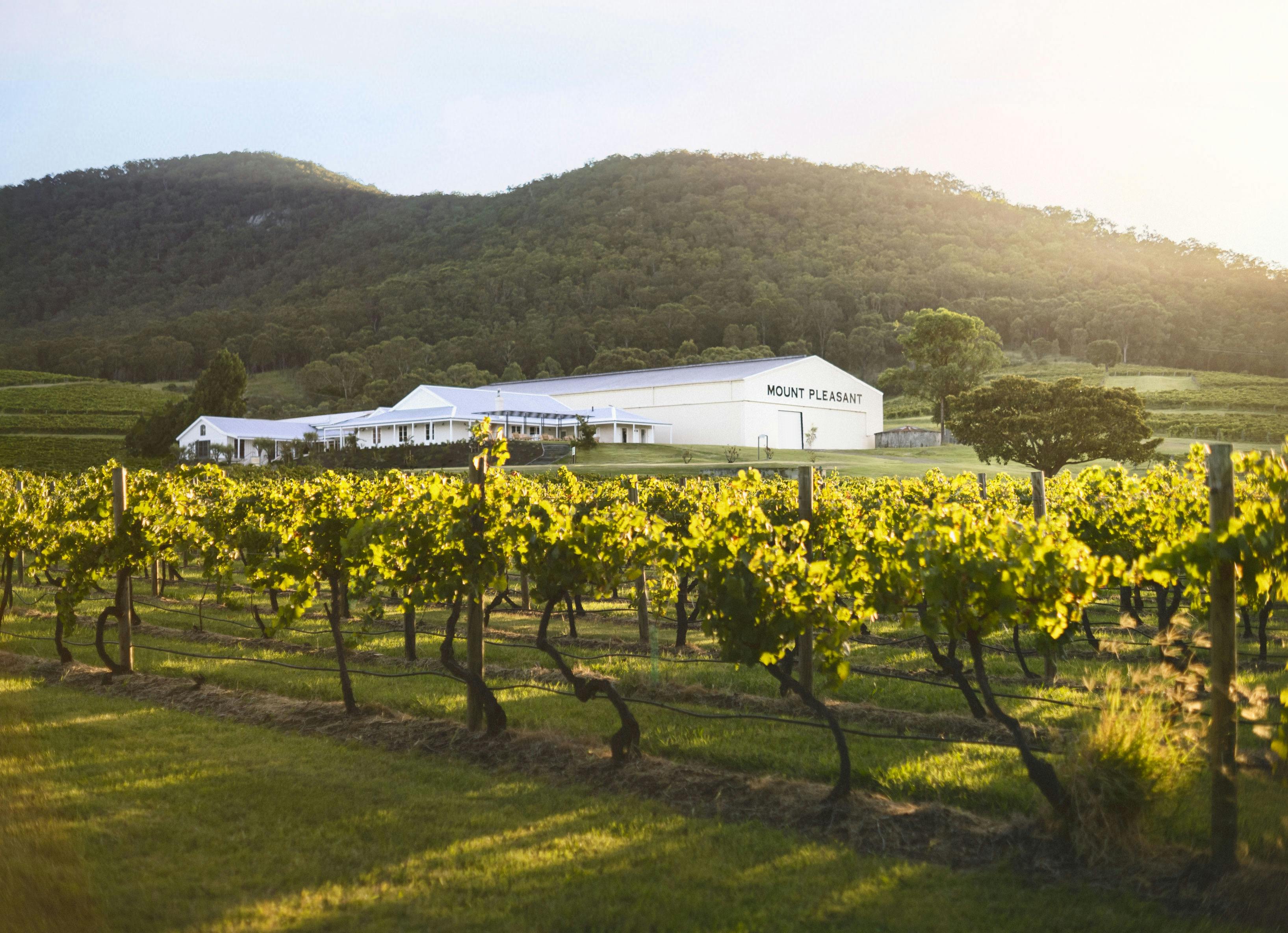 Mount Pleasant Wines