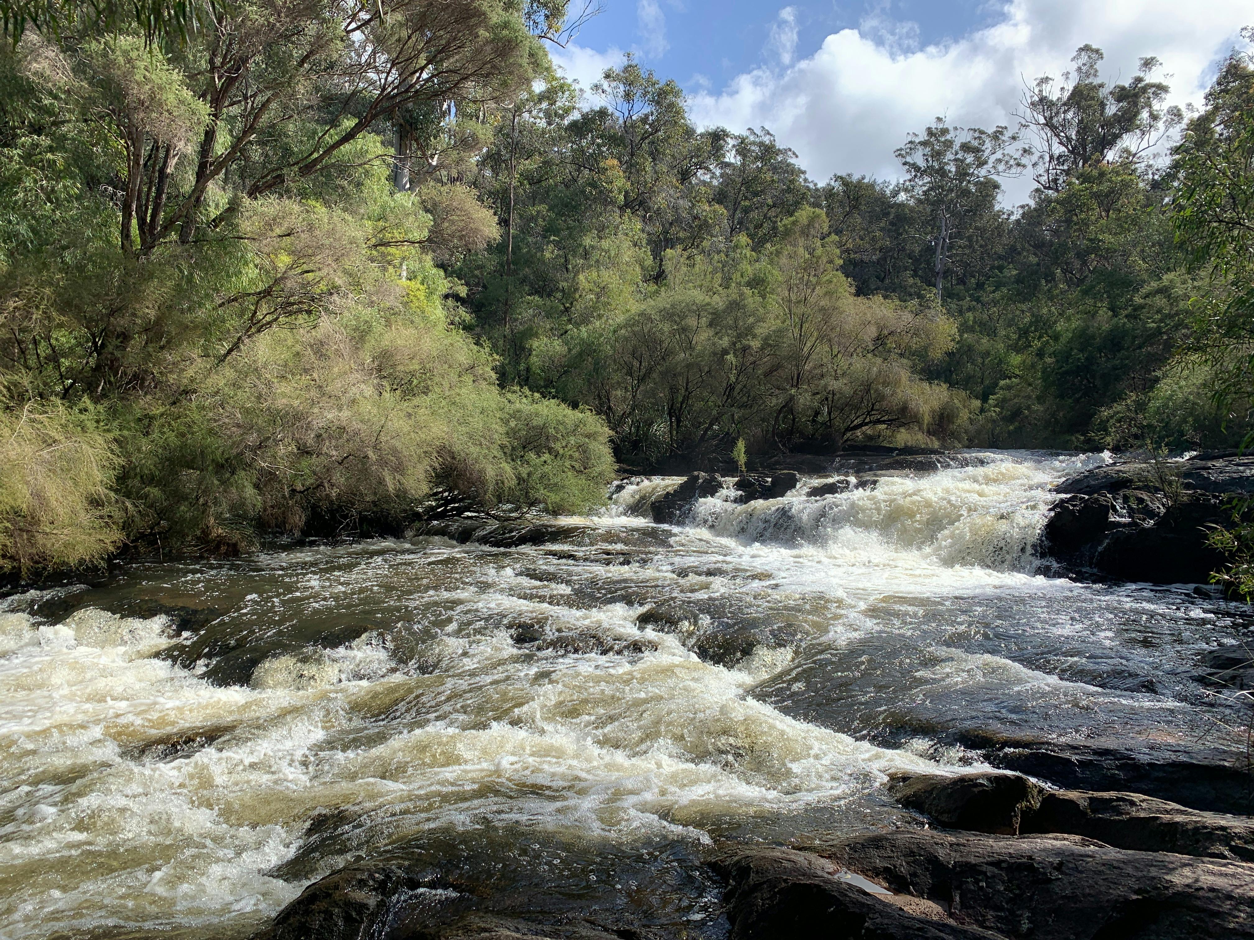 Landscape image of water running over rocks surrounded by trees