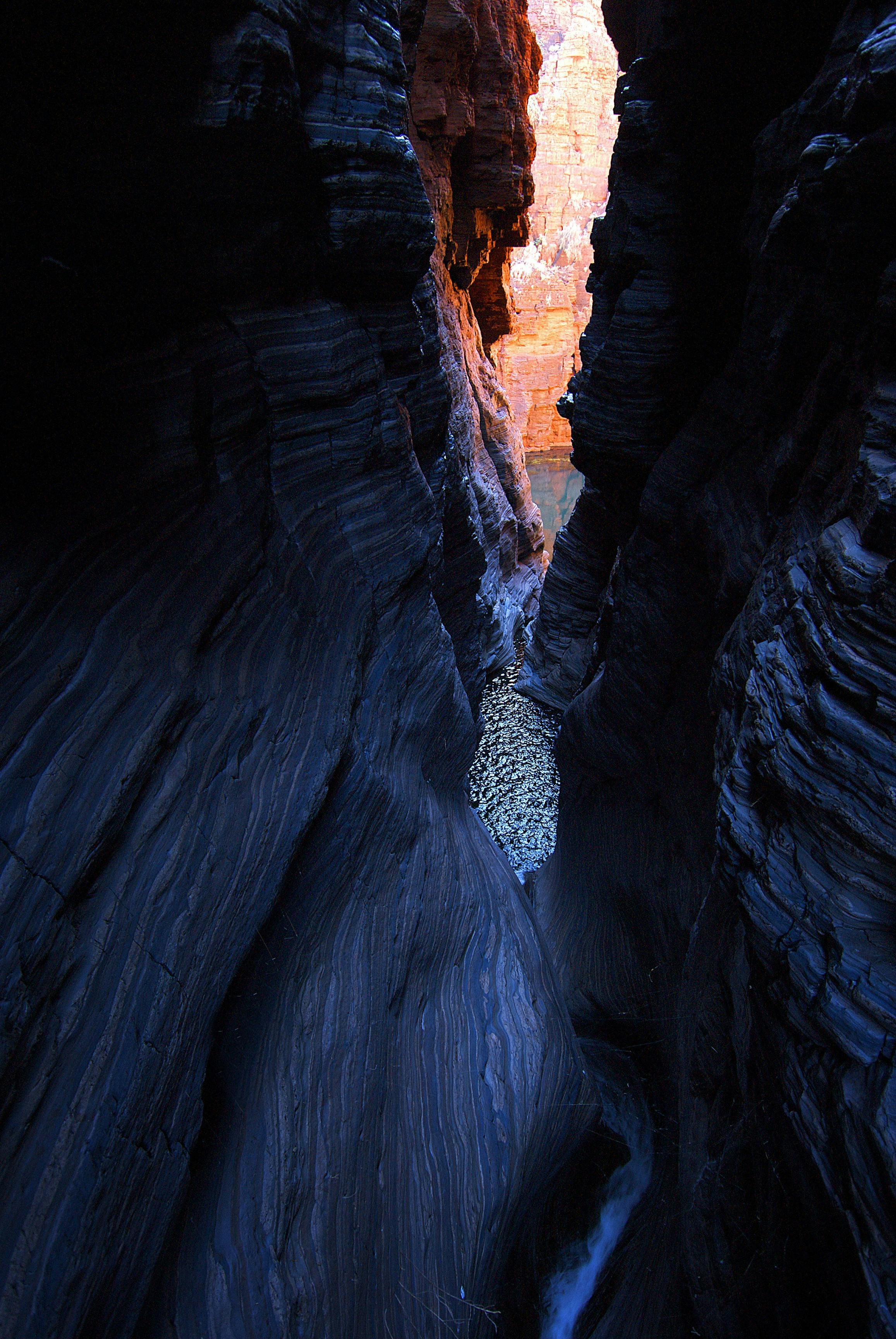 Pilbara Wildflower Trail, Karijini, Western Australia