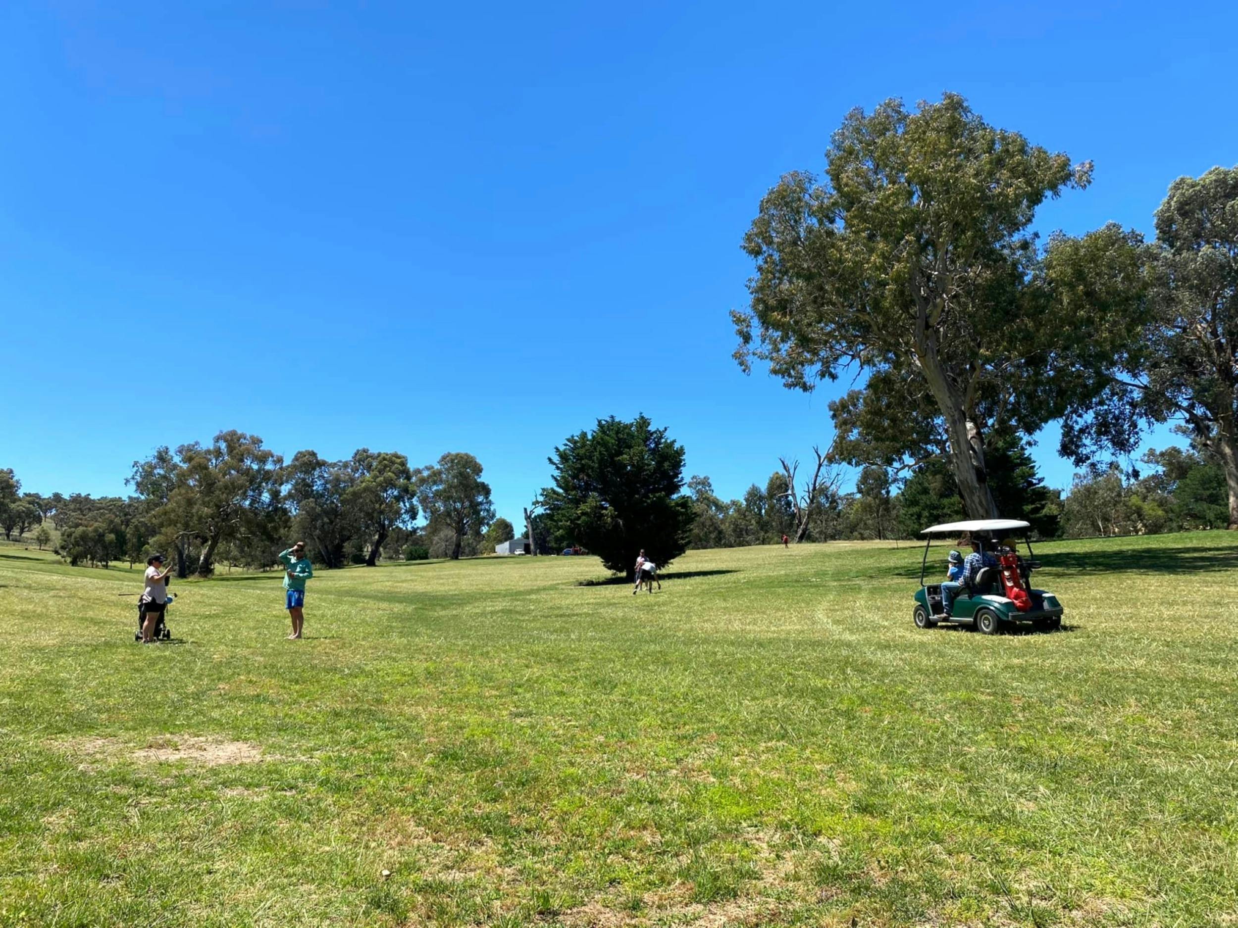Royale Jugiong gold club course