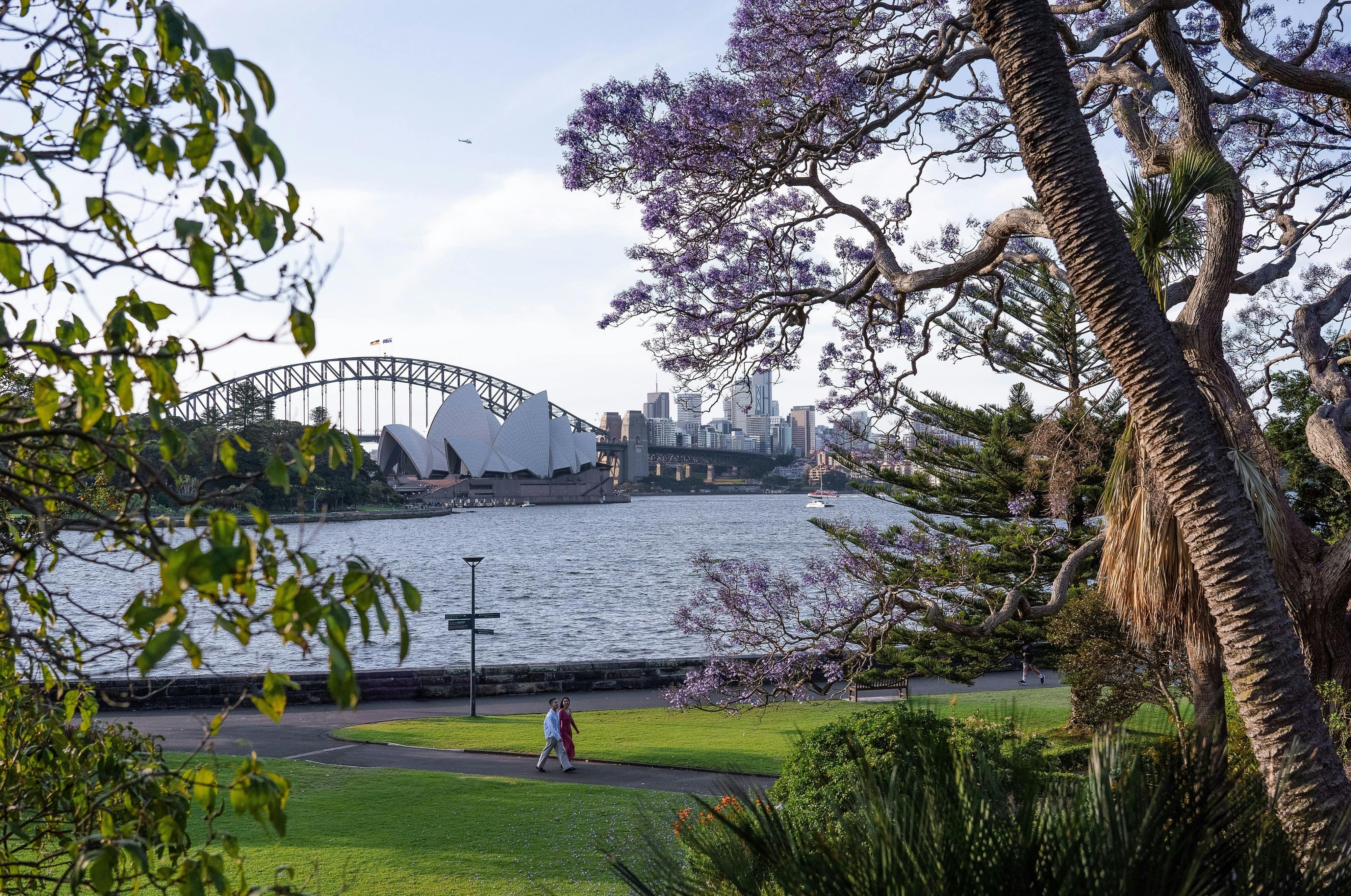 View of Sydney Harbour from the Royal Botanic Gardens.