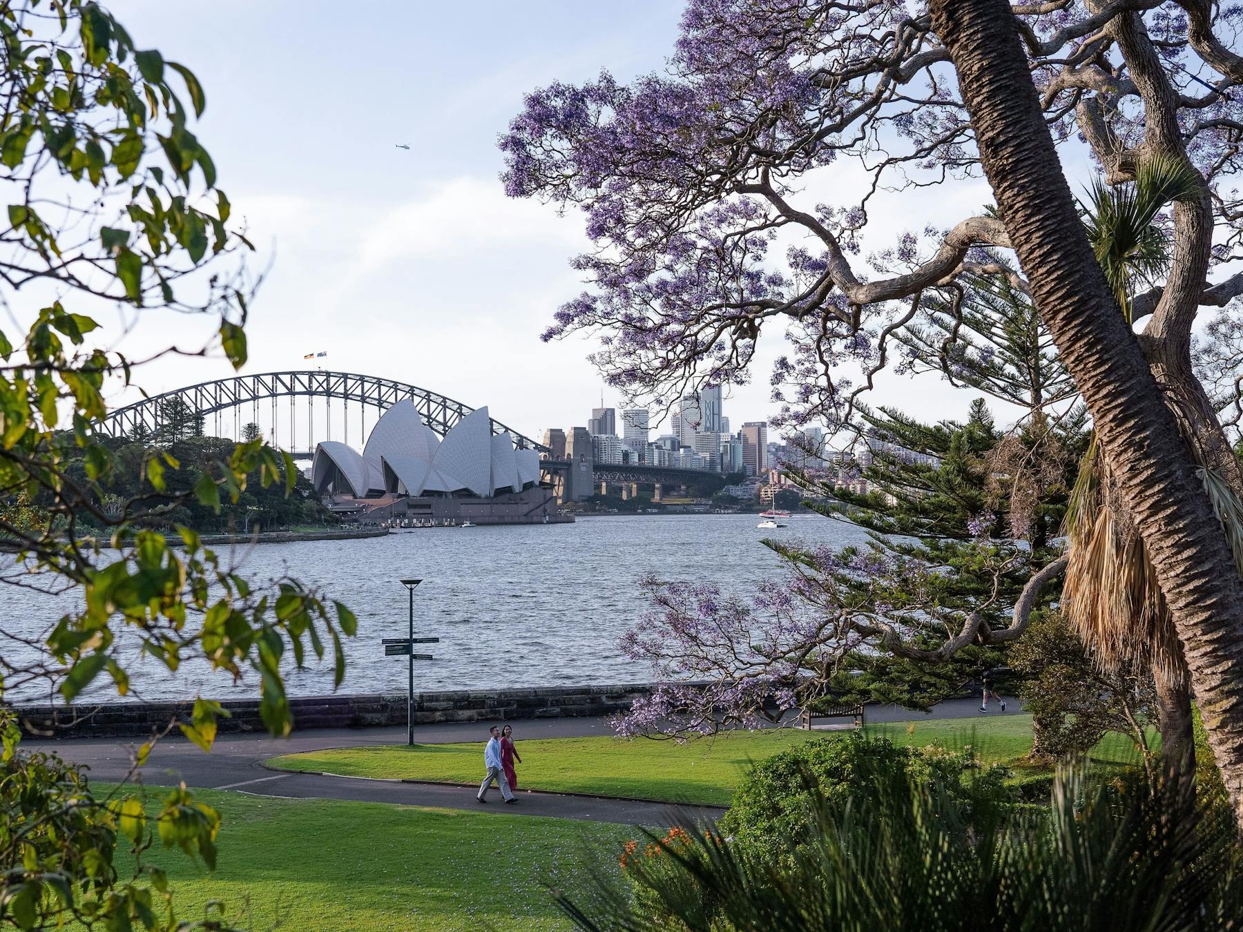 View of Sydney Harbour from the Royal Botanic Gardens.