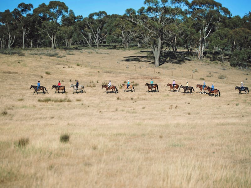 Image for Burnelee Excursions on Horseback