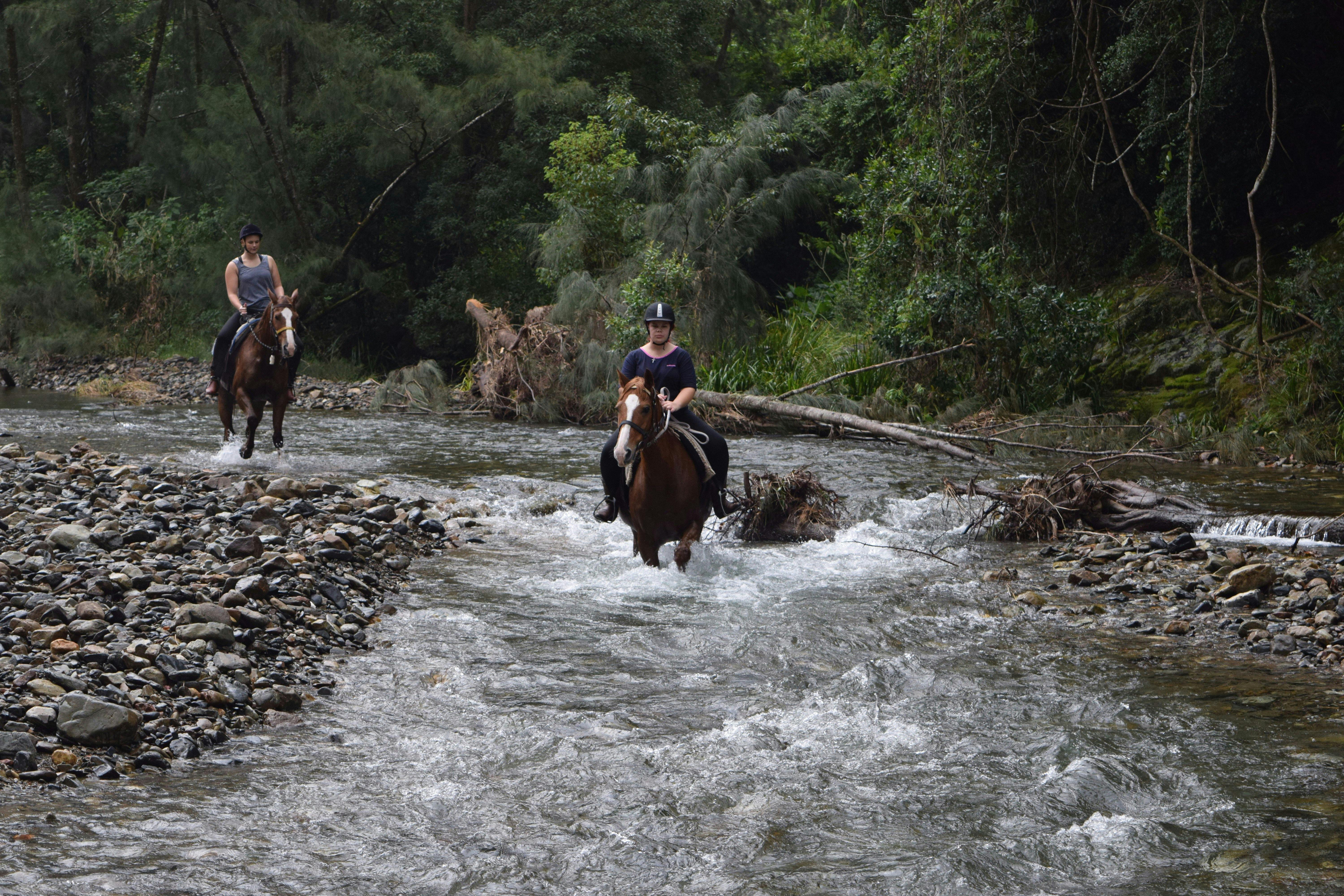 HWH Stables River Ride