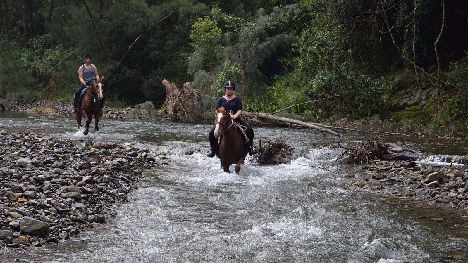 HWH Stables - Riding School and Trail Rides