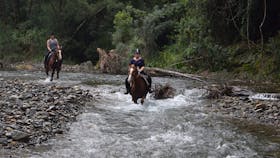 HWH Stables River Ride