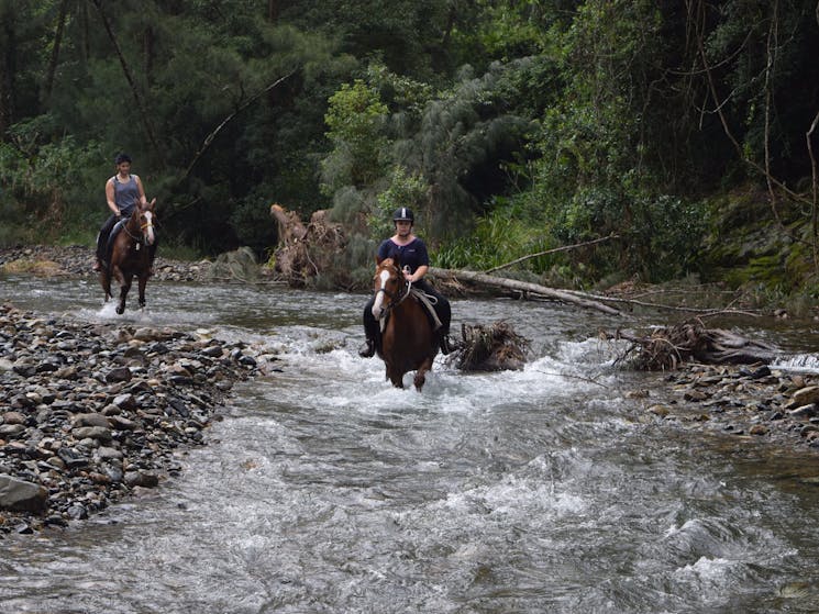 HWH Stables River Ride