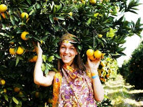 Food Fun Friends – Harvest Festival Central Coast