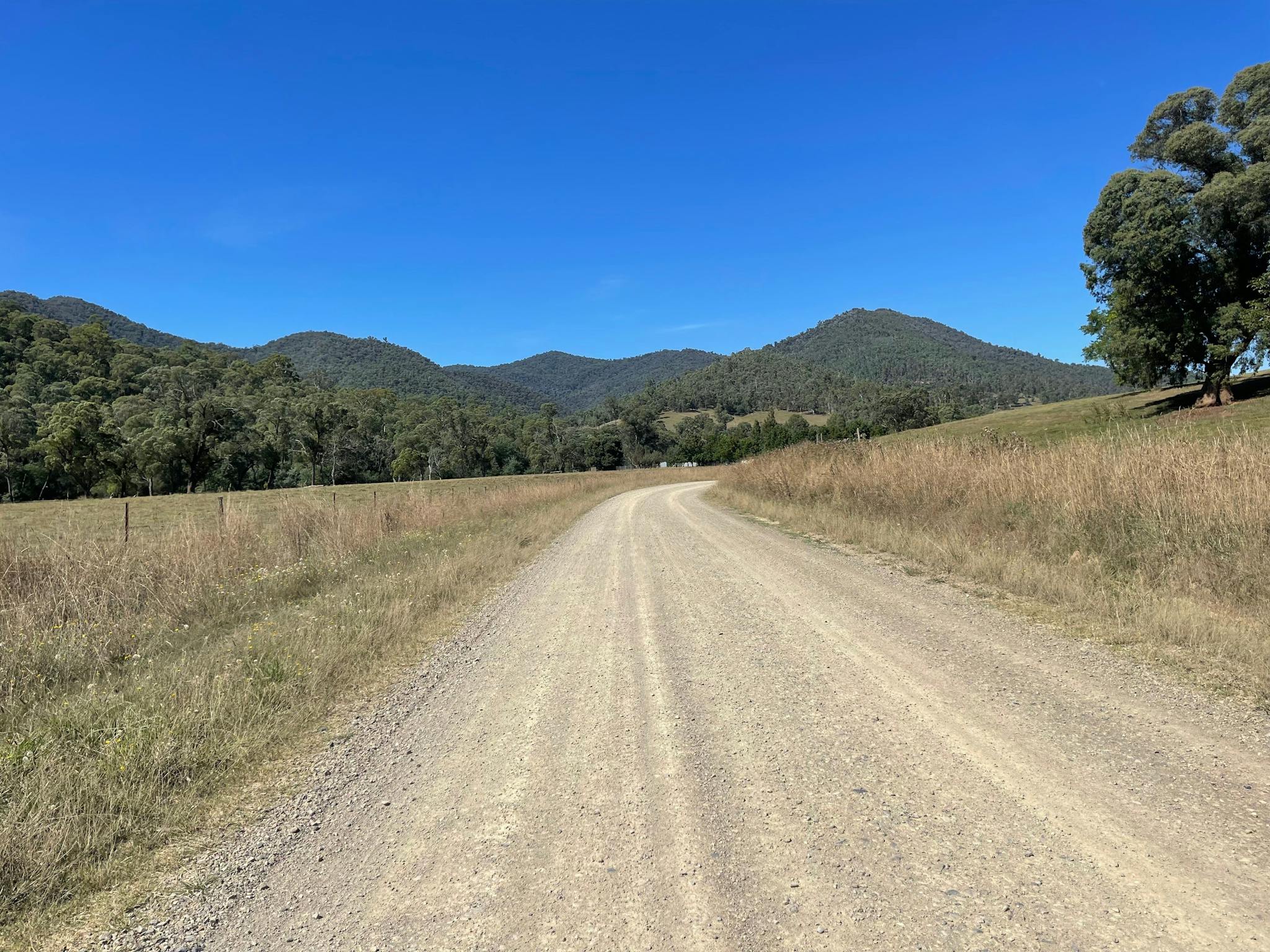 Gravel road with grey dirt, grass, hills, trees, blue sky