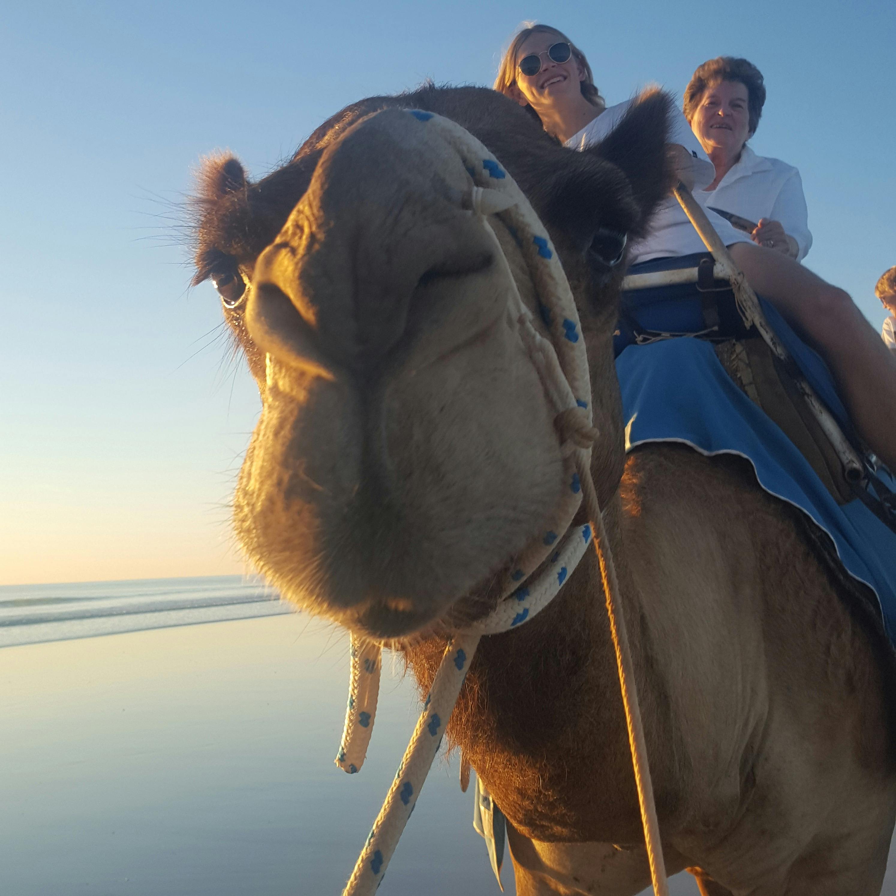 Broome Camel Safaris, Cable Beach, Western Australia