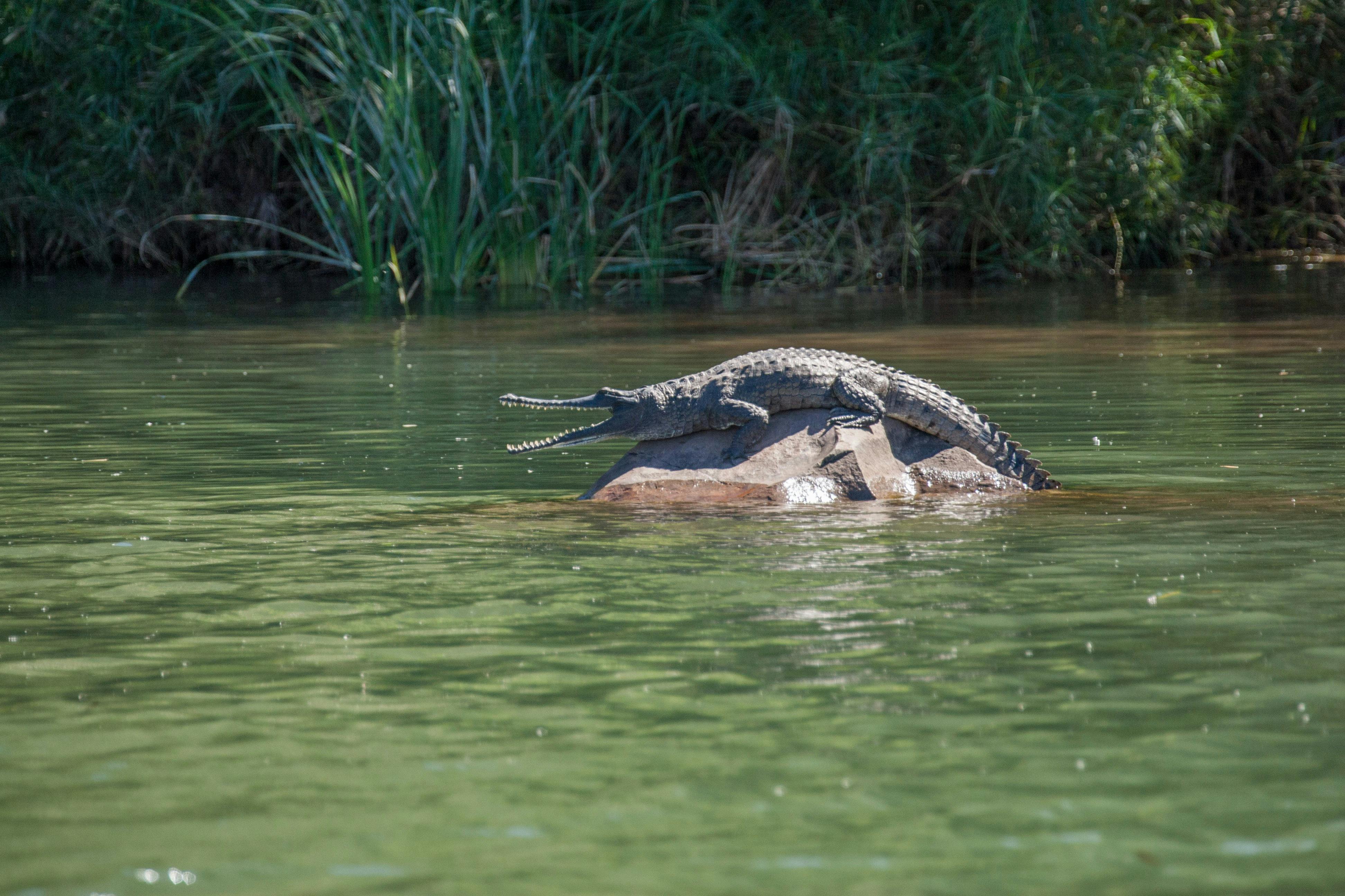 Triple J Tours, Kununurra, Western Australia
