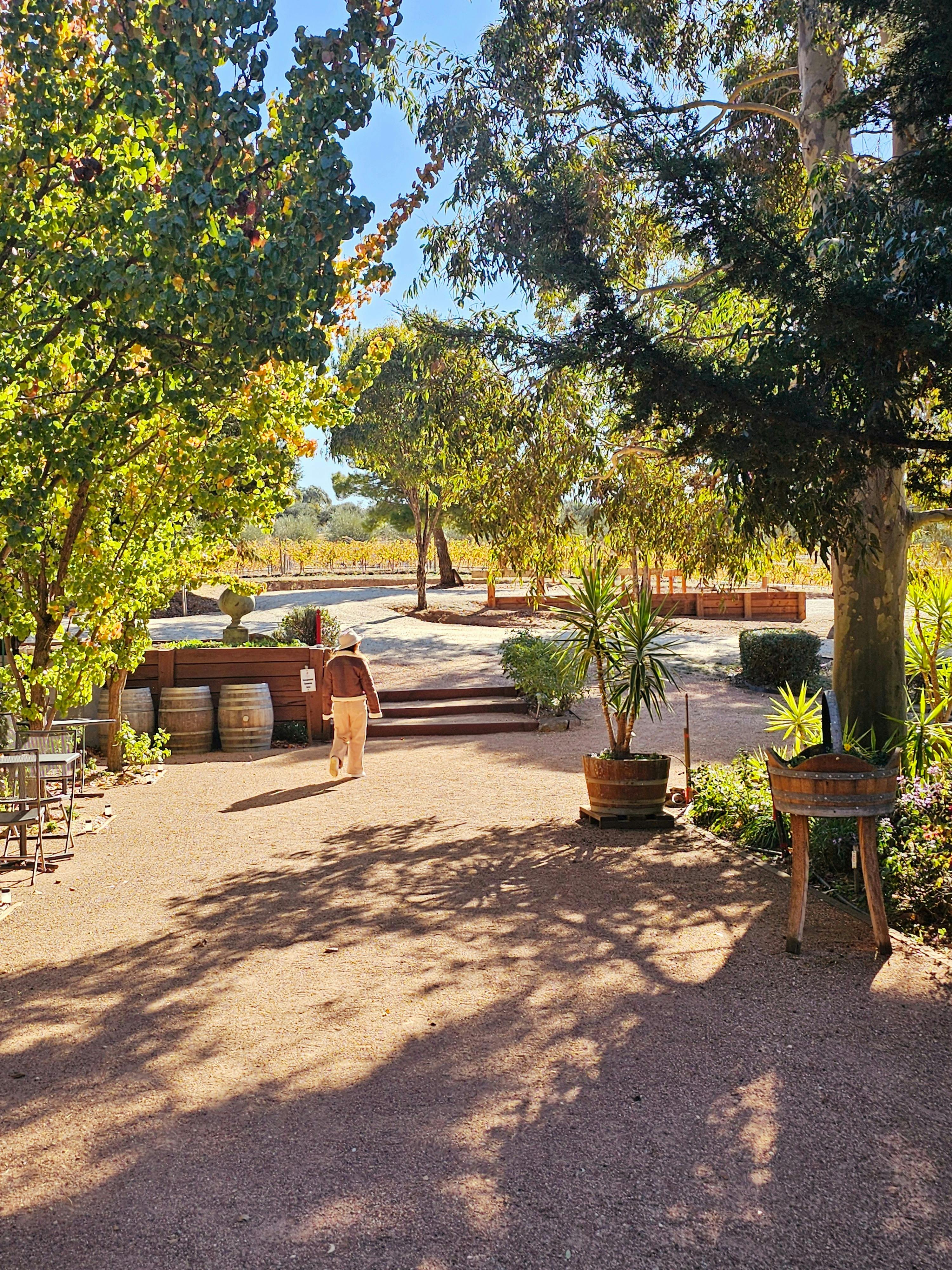 Sanguine Winery
