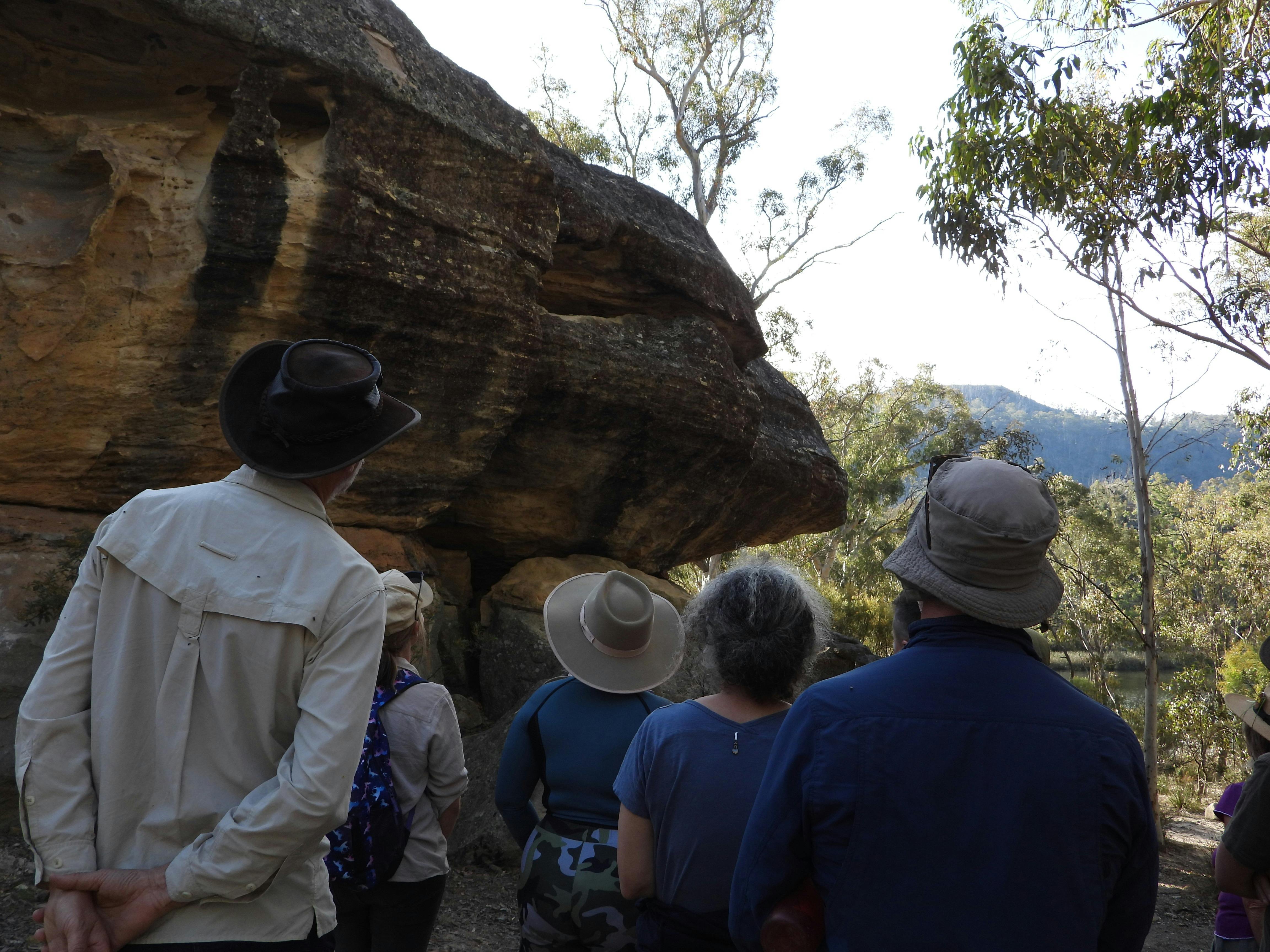 Five people gaze up at a rock feature shaped like a bird