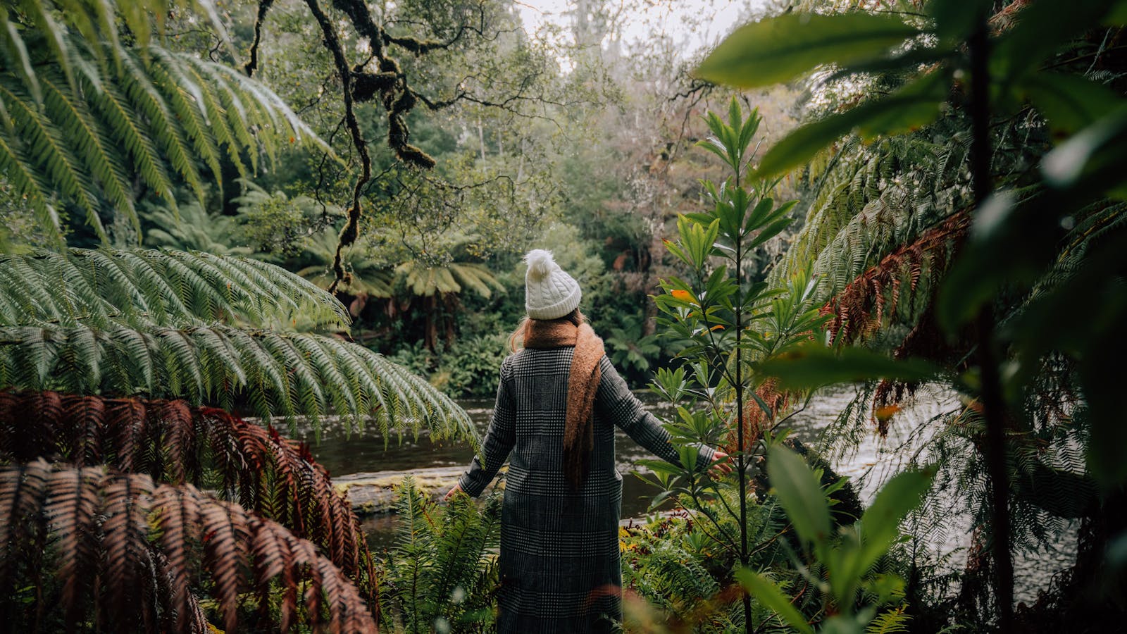 Mount Field National Park