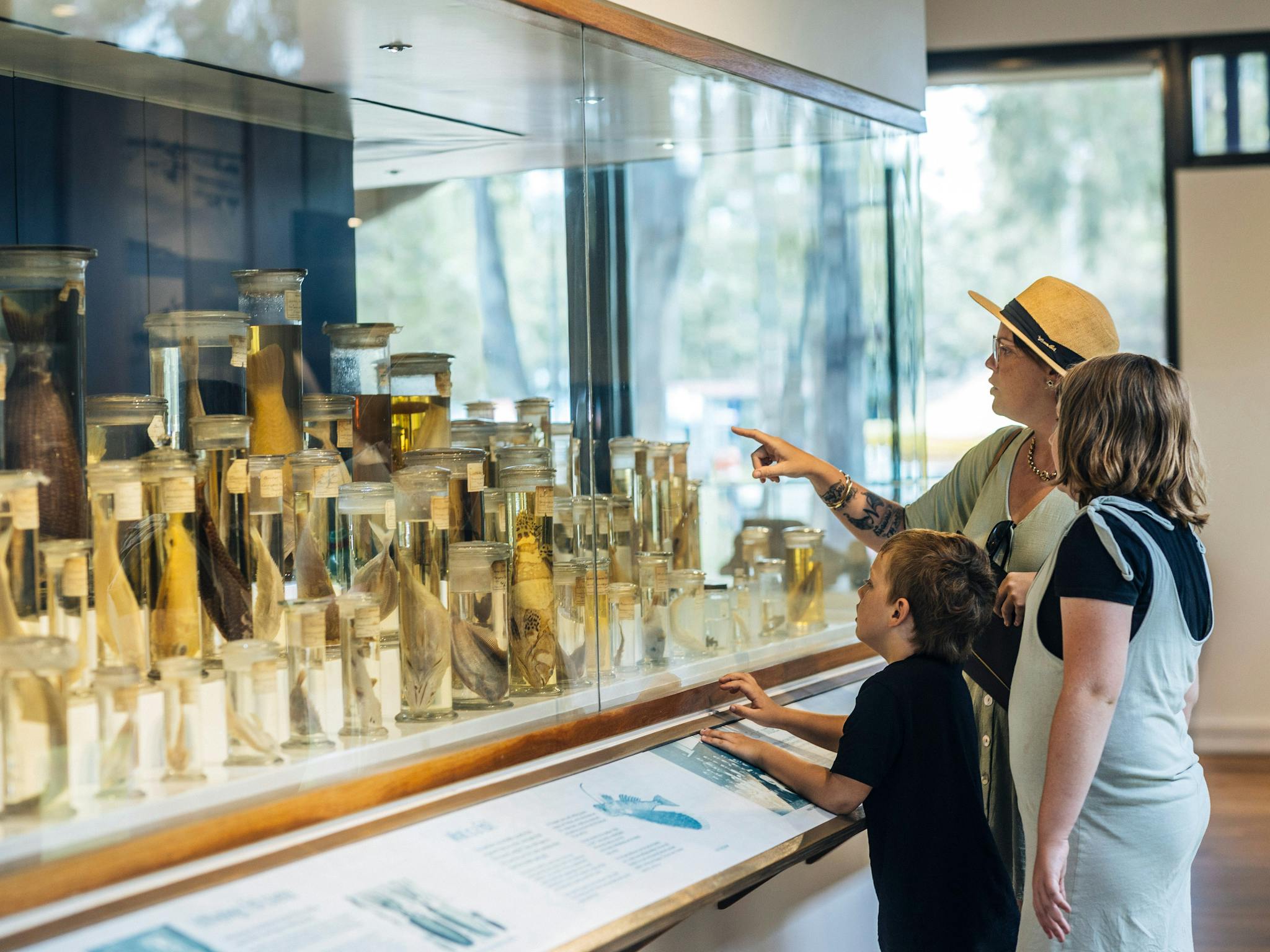 Family looking at Fish Collection