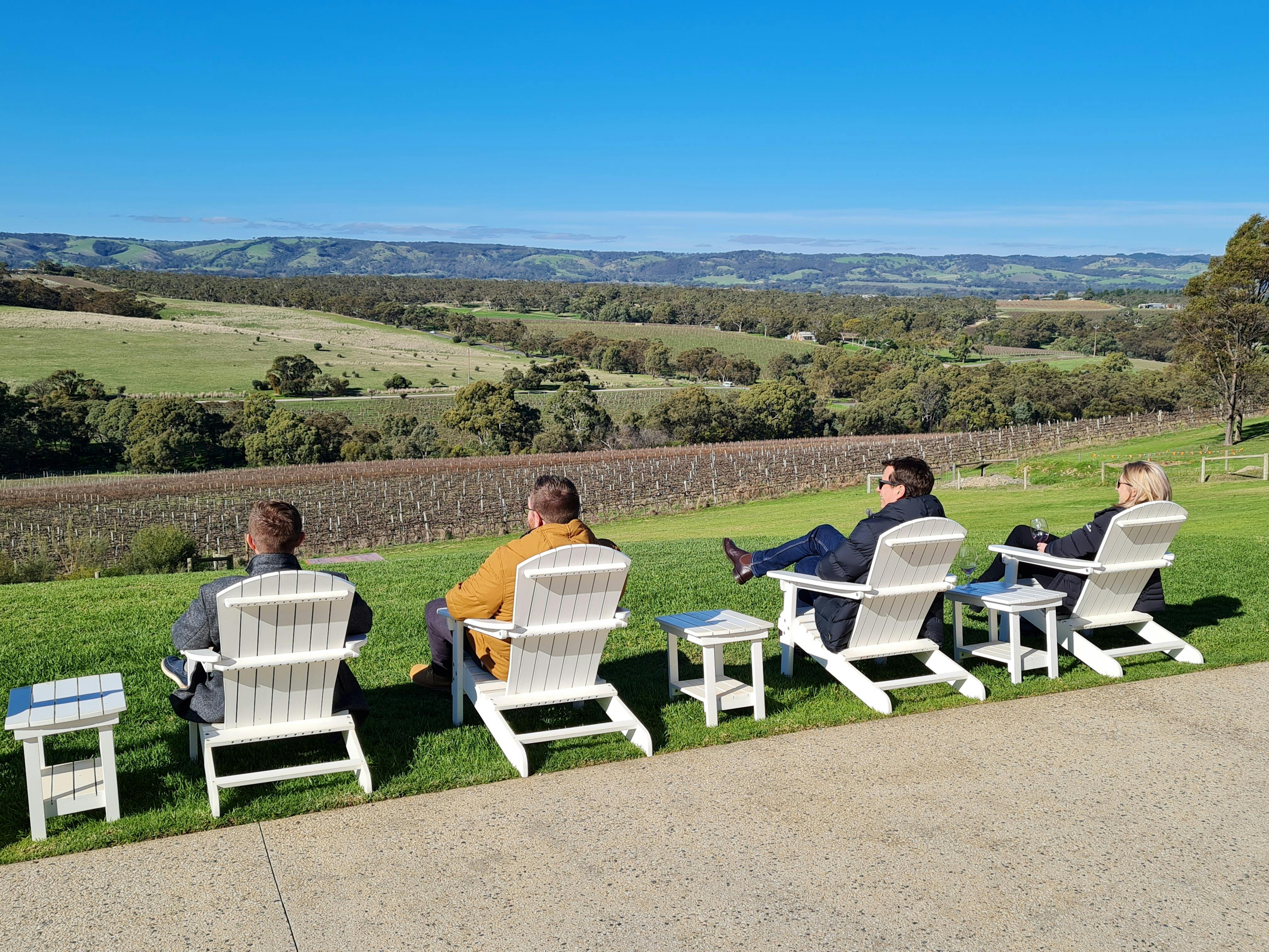 Looking over McLaren Vale vineyards from Kay Brothers Wines