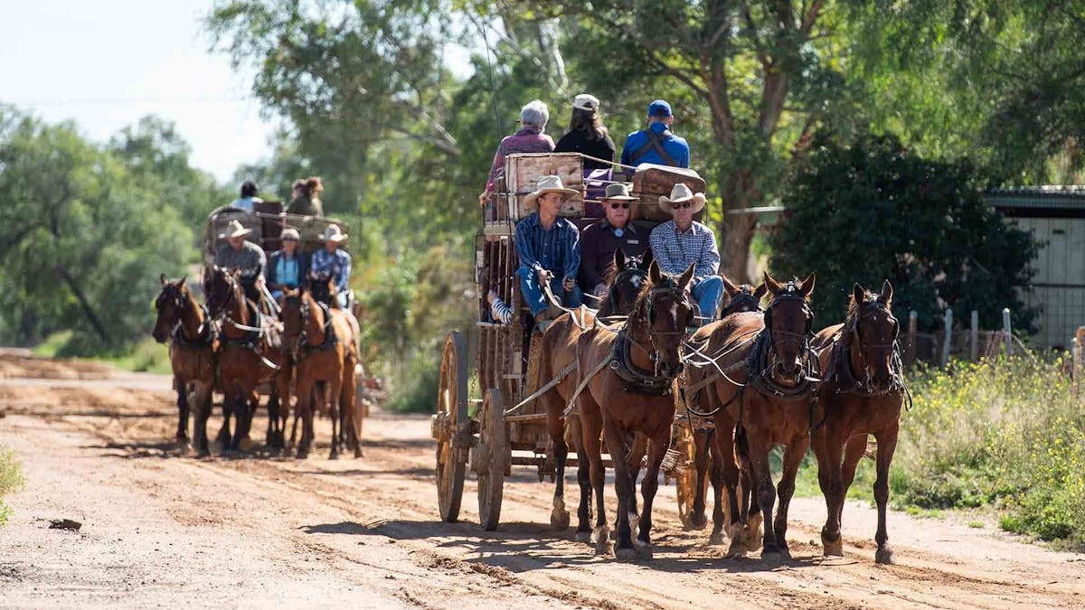 Two Cobb and Co Stagecoaches on a dirt track in Longreach