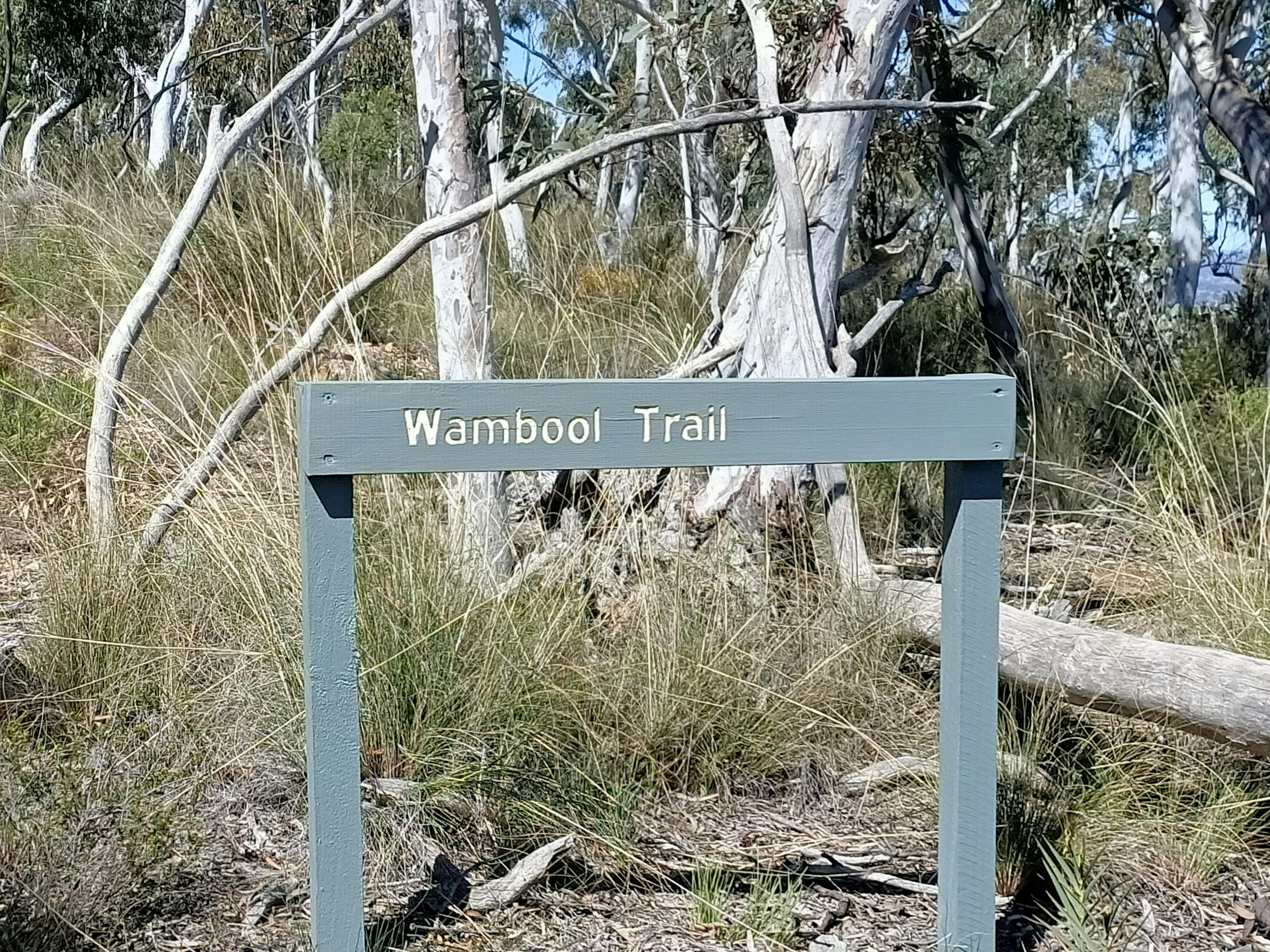 Bushwalking, Bathurst